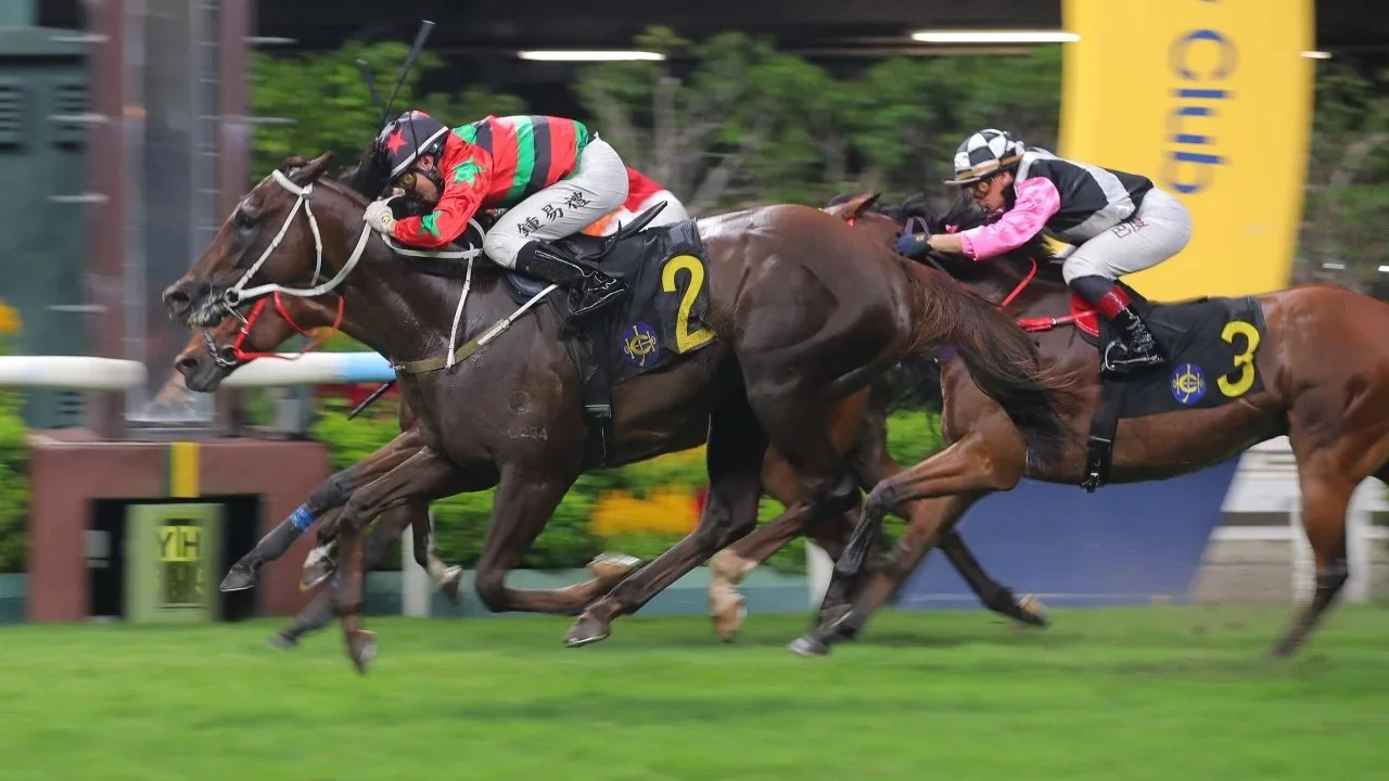 钟易力骑乘TycoonResources跑马地不败纪录进展时间线分析